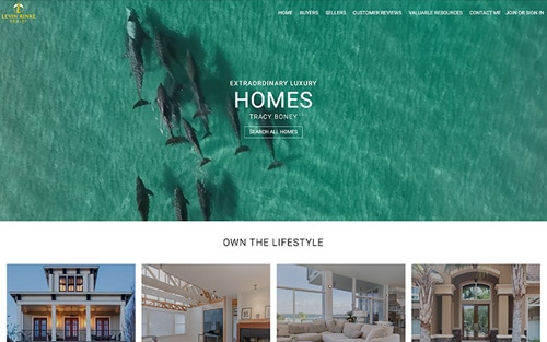 Tracey Boney | Levin Rinke Realty website homepage &mdash; an aerial view of dolphins in turquoise water with 'Extraordinary Luxury Homes' and a Search All Homes button.
