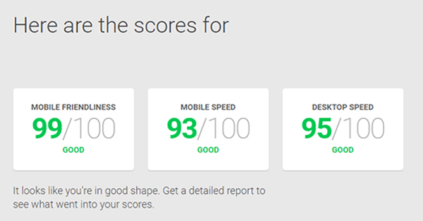 Google Website Performance Tool